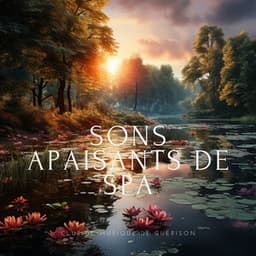 Sons apaisants de spa: Musique calmante pour massage, Relaxation et guérison thérapeutique - Club de musique de guérison