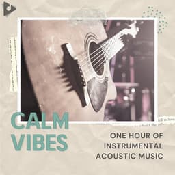 One Hour of Instrumental Acoustic Music - Calm Vibes