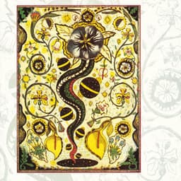 I Feel Alright - Steve Earle