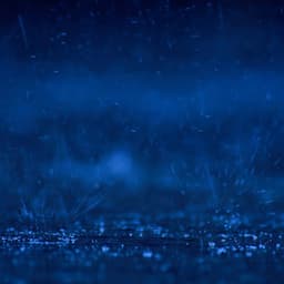 Gentle Showers and Angry Thunderstorms - Black Noise Loops