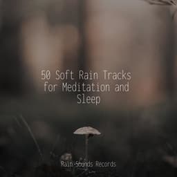 50 Soft Rain Tracks for Meditation and Sleep - Zen Music Garden