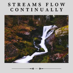 Streams Flow Continually - Bird Sounds
