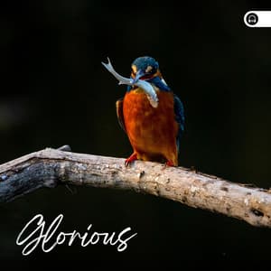 Glorious - Nature Ambience