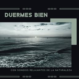 Duermes Bien con Sonidos Relajantes de la Naturaleza - Academia de Sonidos de la Naturaleza para Dormir