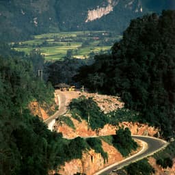 365 Wonders: Magic From The Forest - Nature Sound Collection