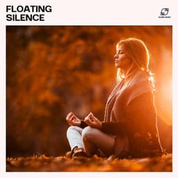 Floating Silence - Zen Meditation Garden