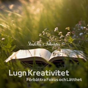 Lugn Kreativitet: Förbättra Fokus och Lätthet - Studera x Fokusera