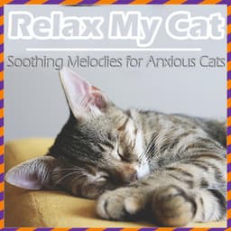 Relax My Cat - Soft Instrumentals for Anxious Cats - RelaxMyCat