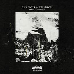 Seeds In Babylon - Che Noir