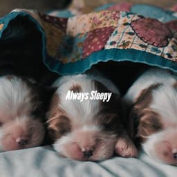 Always Sleepy - Deluxe Elevator Music