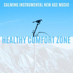 Calming Instrumental New Age Music: Healthy Comfort Zone & Stress Free. Slow Down and Rest with Peaceful Sounds - Instrumental Music Zone