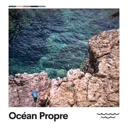 Océan Propre - Vagues De L'Ocean