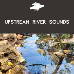 Upstream River Sounds - River Sounds Lab