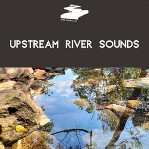 Upstream River Sounds - River Sounds Lab