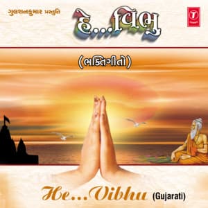 He...Vibhu - Ashit Desai