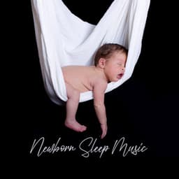 Newborn Sleep Music: Hush Hush, Soothe to Sleep, Instrumental Lullabies - Greatest Kids Lullabies Land