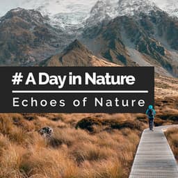 # A Day in Nature - Echoes Of Nature