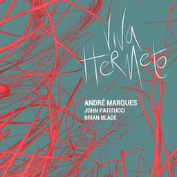 Viva Hermeto - Andre Marques