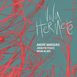 Viva Hermeto - Andre Marques