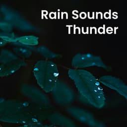 Rain Sounds Thunder - Nature Noise