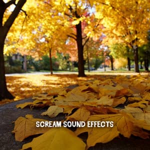 Scream Sound Effects - Spooky Halloween Sounds