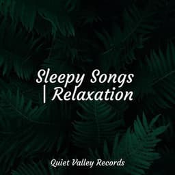 Sleepy Songs | Relaxation - Música de la Naturaleza