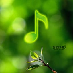 Morning Alarm Clock - Sound Effects Zone