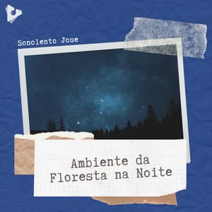 Ambiente da Floresta na Noite - Sonolento Jose