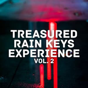 Treasured Rain Keys Experience Vol. 2 - Sounds of Nature Relaxation