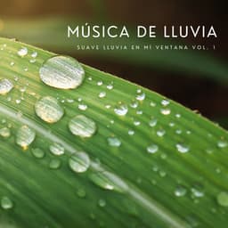 Música De Lluvia: Suave Lluvia En Mí Ventana Vol. 1 - Lluvia en el Bosque