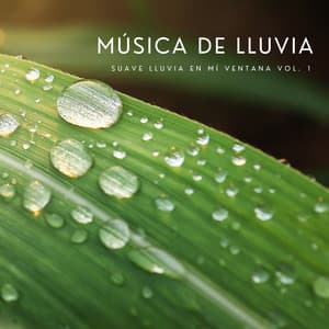 Música De Lluvia: Suave Lluvia En Mí Ventana Vol. 1 - Lluvia en el Bosque