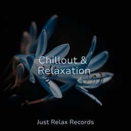Chillout & Relaxation - Soothing Sounds