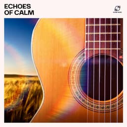 Echoes of Calm - Classical Jazz Guitar Club
