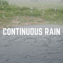 Continuous Rain - Recording Nature