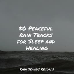 50 Peaceful Rain Tracks for Sleep and Healing - Relaxed Minds