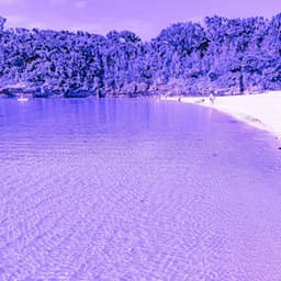 Superlative Ambiance for Calming Chaos - Lo-Fi