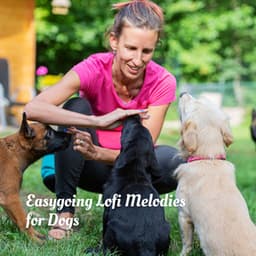 Easygoing Lofi Melodies for Dogs - The Lofi King