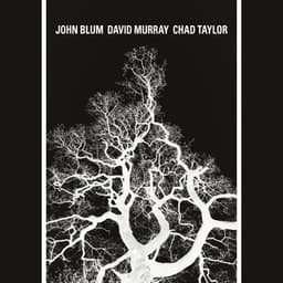 The Recursive Tree - John Blum