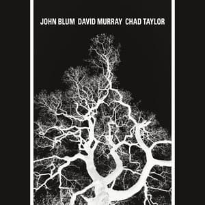 The Recursive Tree - John Blum