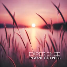 Experience Instant Calmness: Unlock Inner Harmony Through Music - Kings of Nature