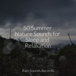 50 Summer Nature Sounds for Sleep and Relaxation - Music For Absolute Sleep