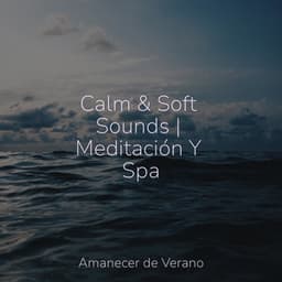 Calm & Soft Sounds | Meditación Y Spa - Zen Music Garden