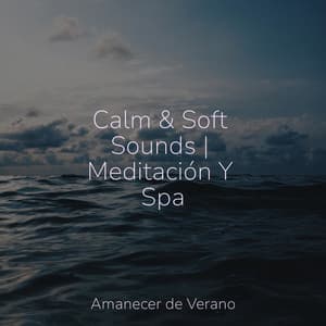 Calm & Soft Sounds | Meditación Y Spa - Zen Music Garden