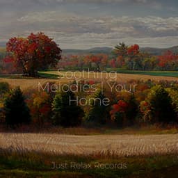 Soothing Melodies | Your Home - Meditación Guiada
