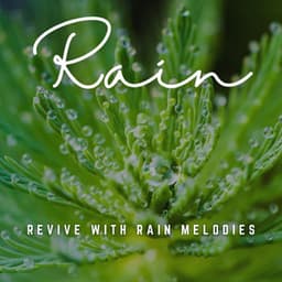 Raindrop Rejuvenation: Spa Ballad for Relaxation - Rain Recordings
