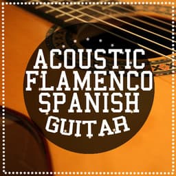Acoustic Flamenco Spanish Guitar - Acoustic Guitar
