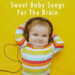Sweet Baby Songs For The Brain - Echoes Of Nature