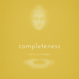 Completeness - Noah Dhamoren