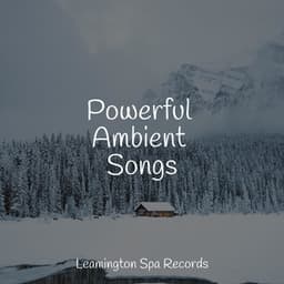 Powerful Ambient Songs - The Sleep Specialist