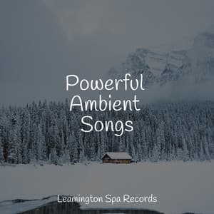 Powerful Ambient Songs - The Sleep Specialist